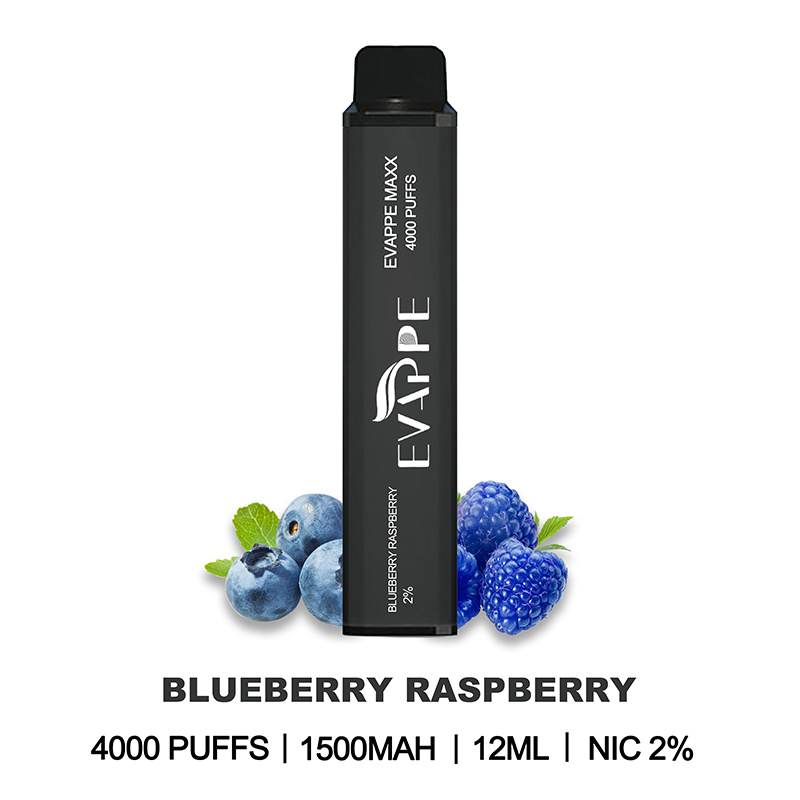 New Products Evappe Maxx 12ml E Juice Oil Vaporizer Puff Bar Evappe Maxx 4000 2% 5% Nicotine Fume-Infinity OEM Disposable Box Vape